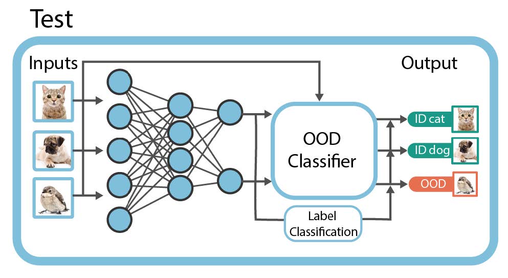 OOD detection at test time